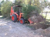 tree setup 2.jpg