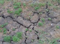 Drycrack1.JPG