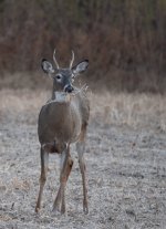 DSC_1224.jpg DSC_1224.jpg