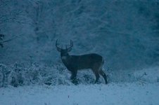 DSC_1457.jpg