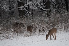 DSC_1493.jpg
