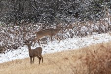 DSC_1512.jpg