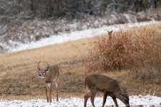DSC_1555.jpg
