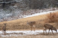 DSC_1556.jpg