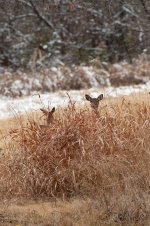 DSC_1566.jpg