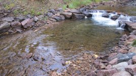 Creek Pond_1.JPG