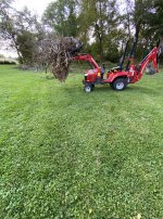 massey brush.JPG