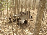 Car in the woods 2.JPG
