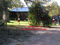 tree setup 3.jpg