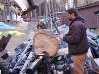 Evan Tree Cutting Photos038 (Small).JPG