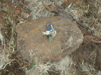 rock.gif