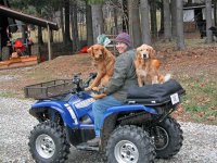 DogsOnGrizz.jpg