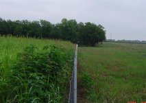 Fence3tbn (Medium).jpg