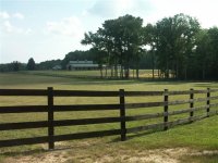 farm 027 (Small).jpg