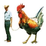giant_rooster.jpg