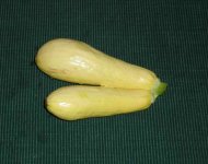 conjoined.jpg