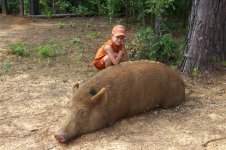Hogs 007 (Small).jpg