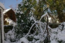 Storm 2006 006.jpg