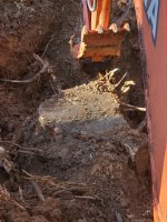 Stump size 20+ inch.jpg