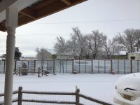 36735A0F-C6CF-4603-A00A-E06B9C1FD646.jpeg