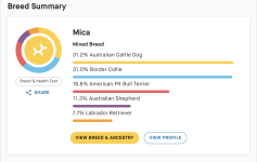 Breed summary.png