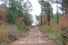 Hiking Trail, Oct 2006.jpg