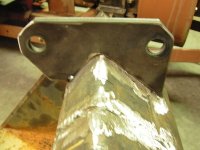 bh new ear tacked (400 x 300).jpg