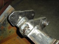 bh new ear with collars  (400 x 300).jpg