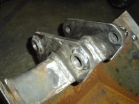 bh new ear with collars 2 (400 x 300).jpg