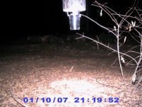 Game Cam 003 (Small).jpg