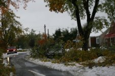 Storm 2006 035.jpg