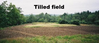 tilled field.JPG