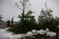 Storm 2006 040.jpg