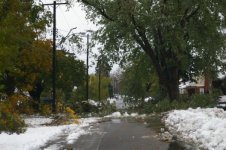 Storm 2006 044.jpg