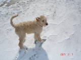 th_DSC00731.jpg
