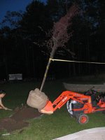 IMG_0240.JPG