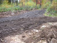 mud hole 1.jpg