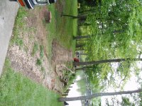 Picture 002.jpg
