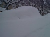 niki's car.jpg