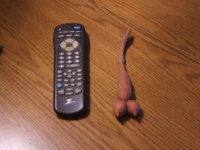 sweetpotato.jpg