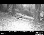 TTC_0070.jpg