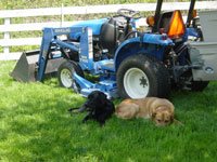 boo-willy-tractor-010.jpg