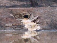 Runoff comeing out of 15 inch culvert.jpg