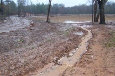 Runoff from the open trench entering the lake.jpg