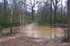 Flooding of the creek, 14 Jan 2007.jpg