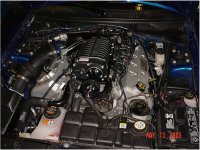 Whipple #2DSC00949S.JPG