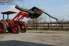 BigLimb2 (Medium).JPG