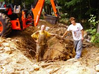 tree stump 003.jpg