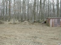 DSCN1969.JPG