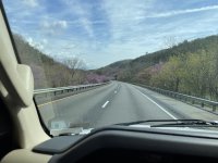 IMG_1637.JPG